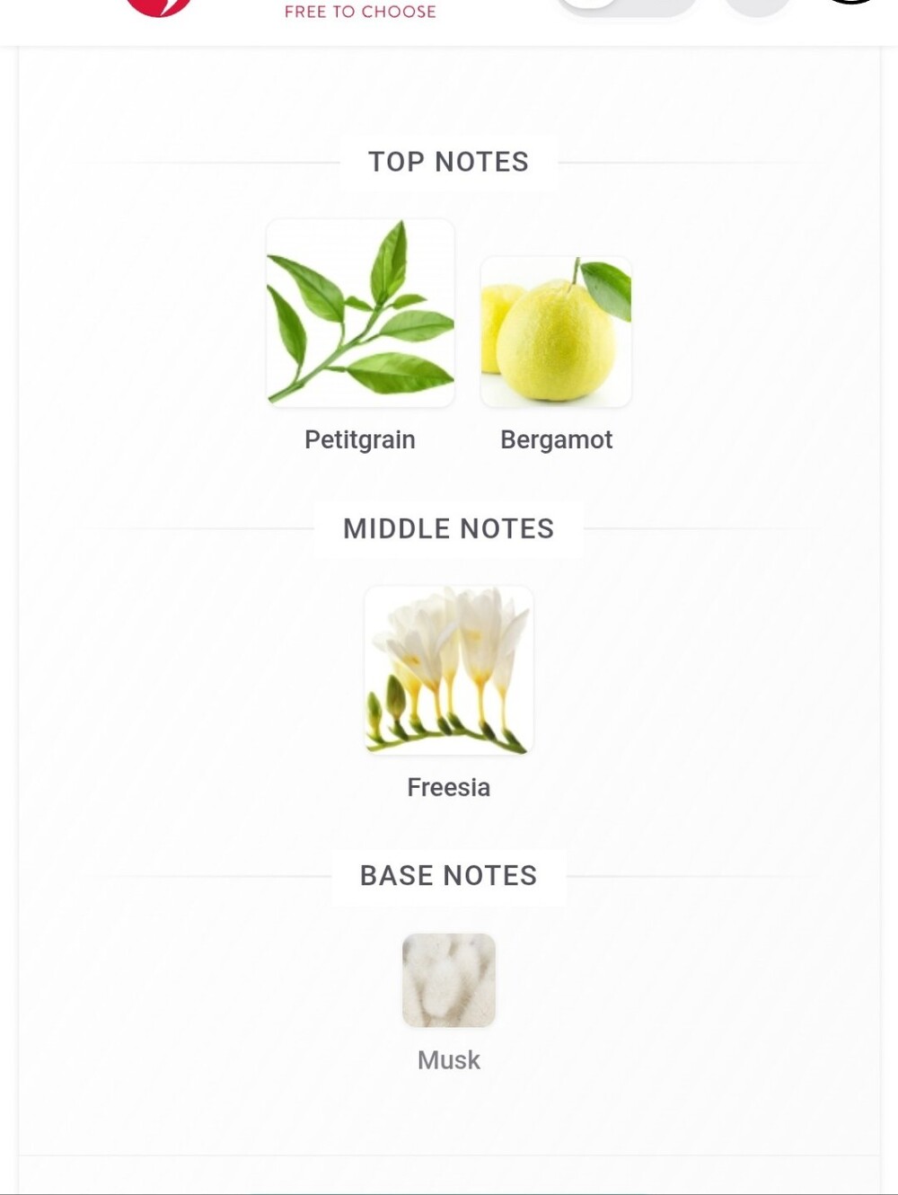 "Belle" By Tocca Fragrance - Picture 8 of 8